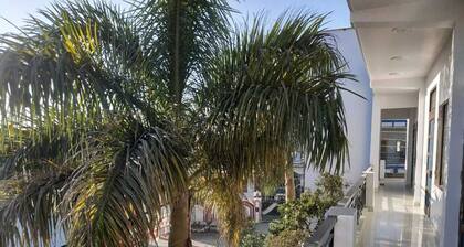 2 PALMS GIRLS PG NEAR MAHENT INDRESH HOSPITAL
