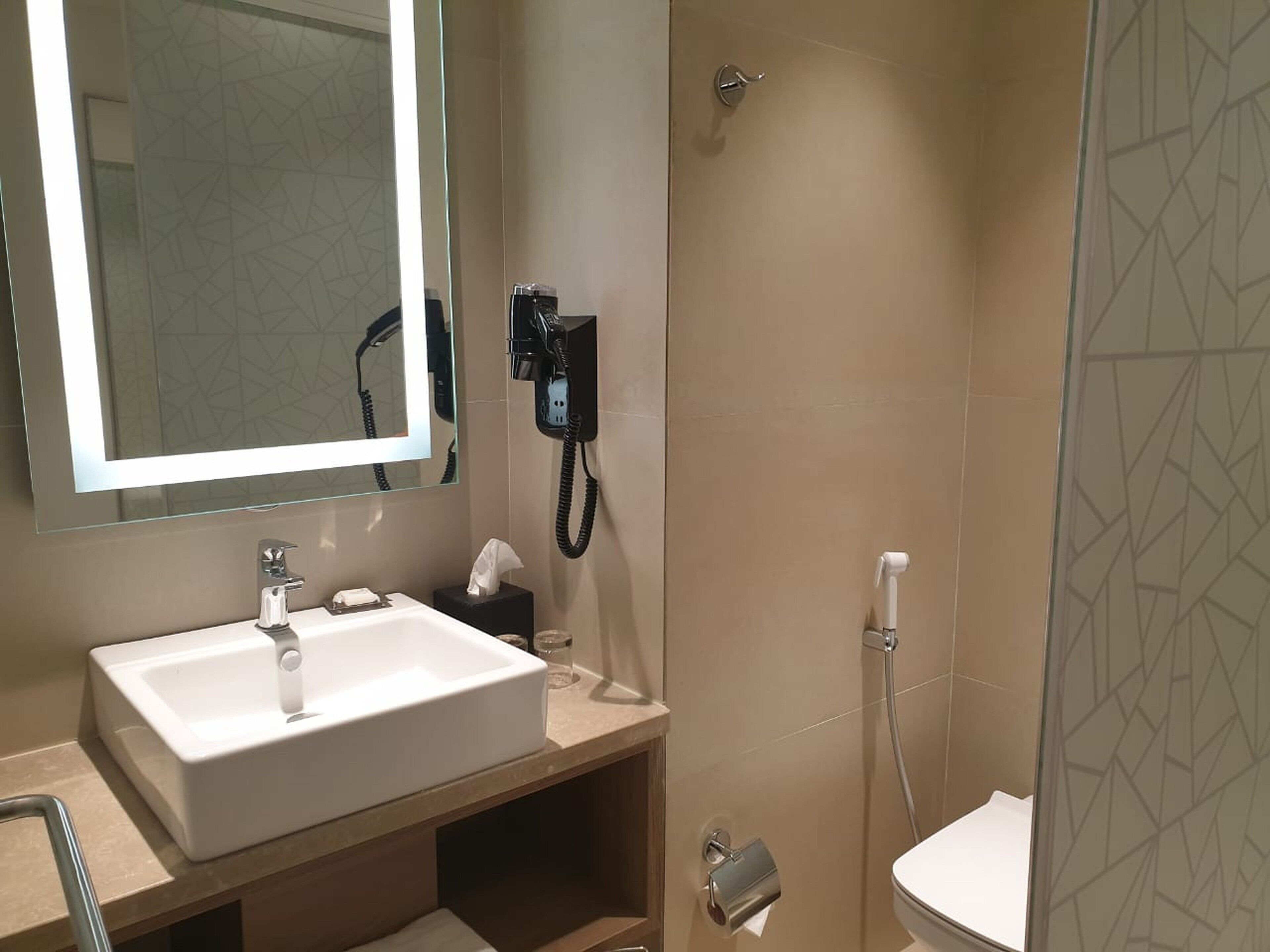 A bathroom with a white sink, a mirror, a handheld showerhead, and a toilet.