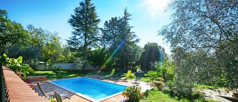 Una piscina rodeada de vegetación, con rayos de sol.