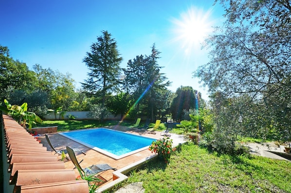 Ein von Grün umgebener Swimmingpool, durch das Sonnenlicht hindurch sichtbar.