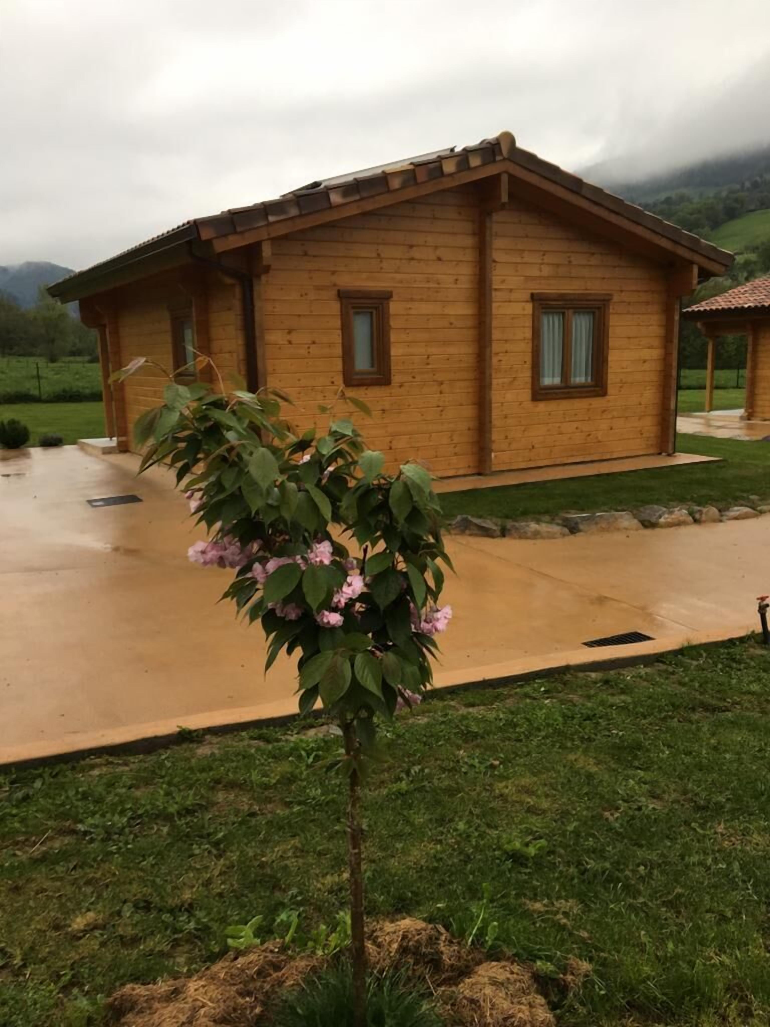 Área da propriedade