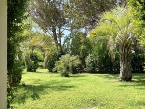 Een weelderige tuin met diverse bomen en een verzorgd gazon.