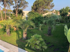 Un jardín bien cuidado con palmeras y un área de piscina.