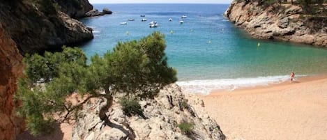 Plage à proximité, chaises longues