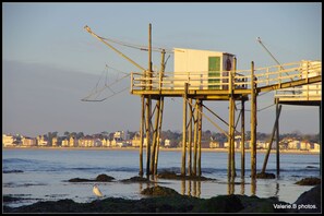 海灘、躺椅
