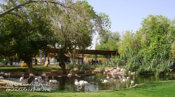 A park with a pond, trees, and a covered seating area.