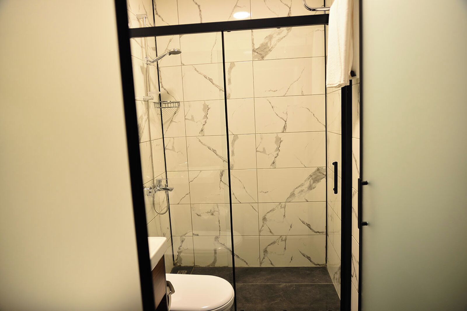 Ein Badezimmer mit Duschkabine, Toilette und Waschbecken.