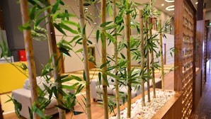 Zona de recepción con un arreglo de plantas de bambú, un mostrador de madera y un área de descanso con pared amarilla y sofá blanco.