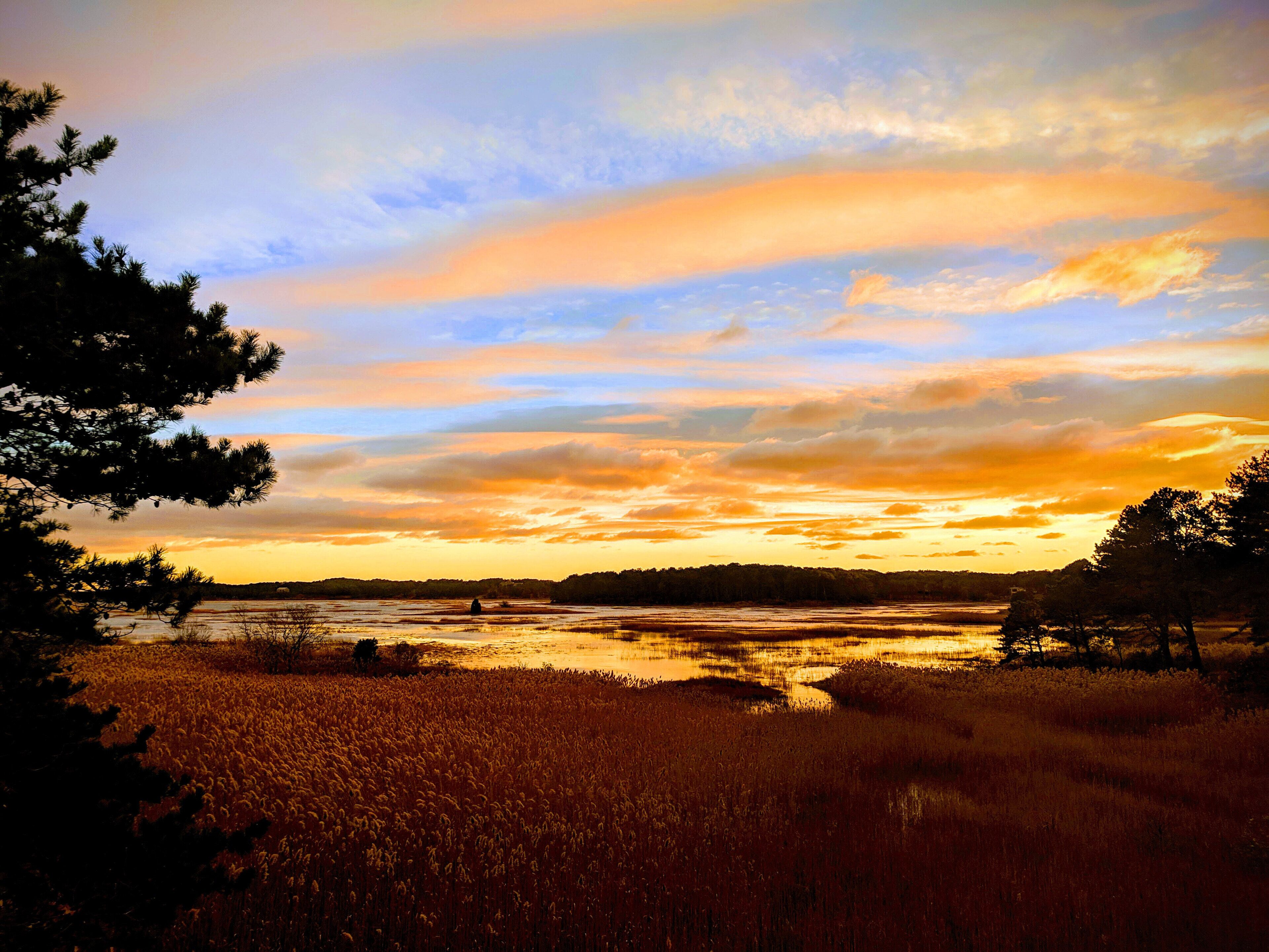 Open & Bright 3BD--Incredible Tidal Marsh Views, A/C, Outdoor Shower, Big Deck