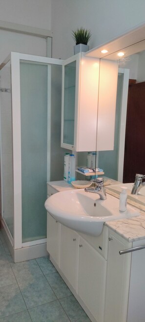 Shower, hair dryer, bidet, towels