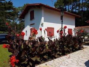 Un edificio blanco con contraventanas rojas, rodeado de flores rojas y hojas verdes grandes.