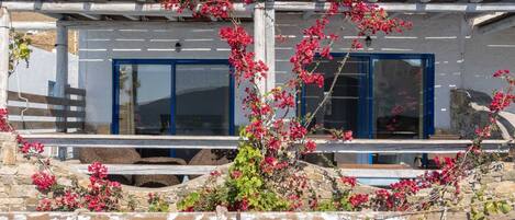 Un edificio de fachada de piedra, puertas azules y una pérgola de madera con flores rosadas.