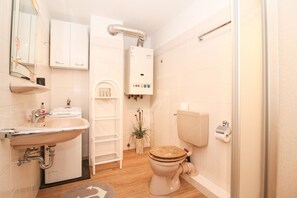 Ducha, secador de pelo y papel higiénico