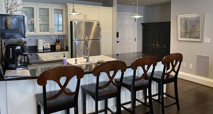 Center of Downtown- Upscale 1Br/1Ba with patio & private entrance