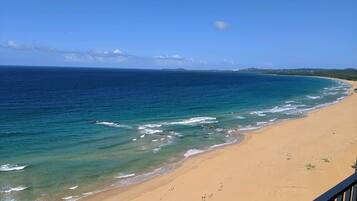 Plage, chaises longues, serviettes de plage