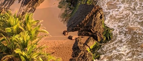 ビーチ、サンラウンジャー、ビーチタオル