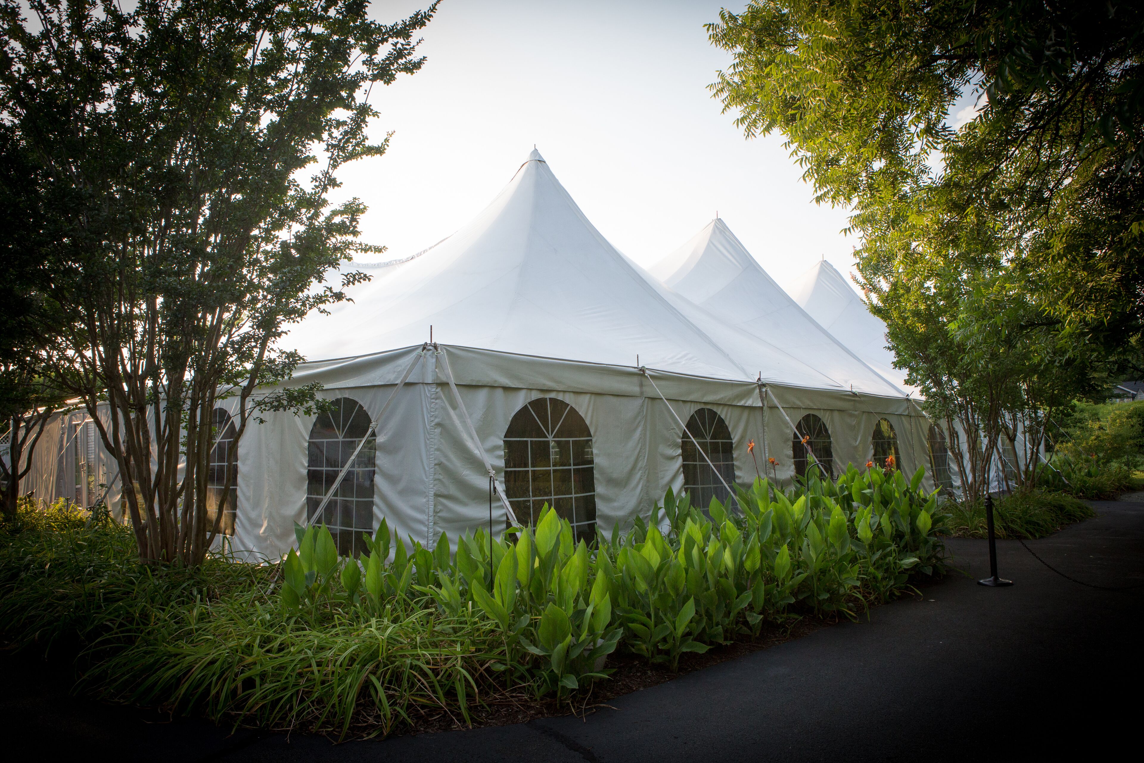 A large white tent with arched windows, surrounded by lush greenery and a paved path.