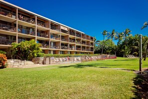Exterior - Endless Waves, Incredible Direct Oceanfront Views! (Wailuku)