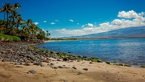 A beach with a rocky shoreline, palm trees, and a clear blue sky. - Endless Waves, Incredible Direct Oceanfront Views! (Wailuku)