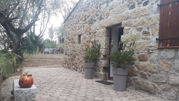 Un bâtiment en pierre, agrémenté de deux plantes en pot, d’un banc en bois rustique et d’une terrasse carrelée.