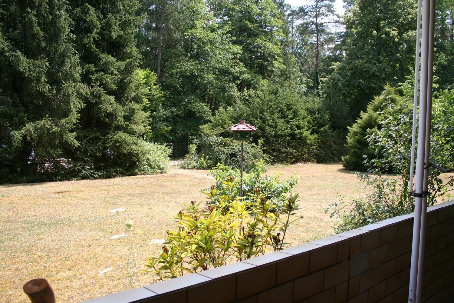 Vista de un jardín trasero con un comedero para pájaros, árboles frondosos y un muro de ladrillo.