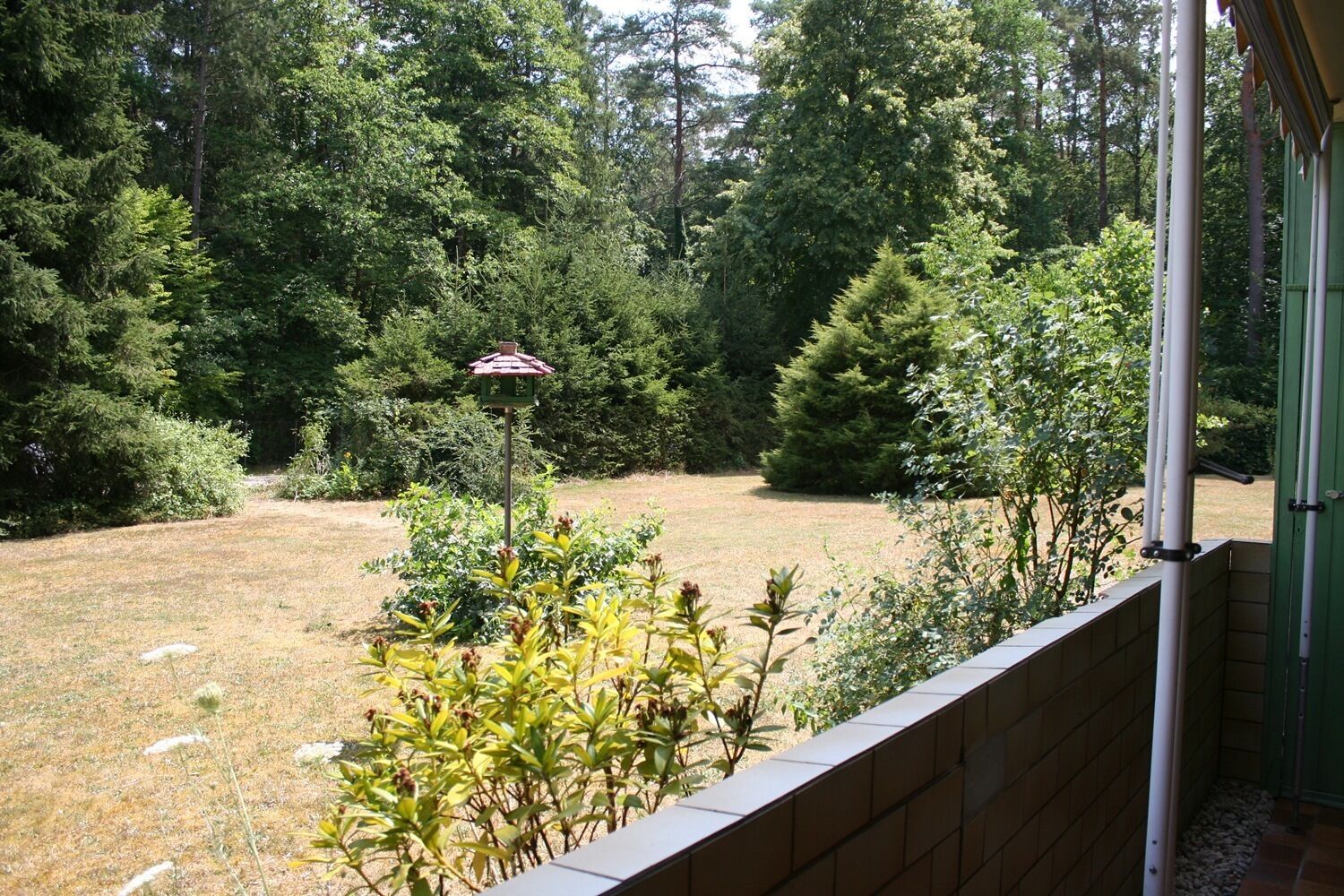 Une vue depuis un balcon donnant sur un jardin, avec une mangeoire à oiseaux, de grands arbres et une pelouse verdoyante.