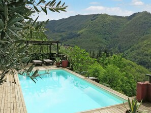 Outdoor pool - Rustic single house with exclusive swimming pool and large private garden (Benabbio ( Lucca ))