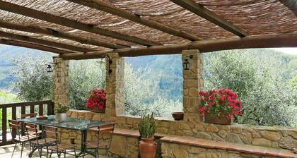 Rustic single house with exclusive swimming pool and large private garden