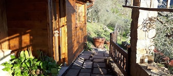 Rustic single house with exclusive swimming pool and large private garden