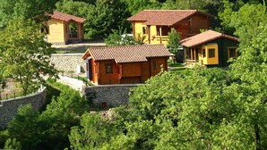 A cluster of wooden cabins with red-tiled roofs, surrounded by lush greenery and stone walls. - Casa 2 Urdieta, waterfall house (Angulo)
