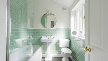 Combined shower/tub, hair dryer