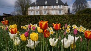 Un campo de tulipanes y narcisos frente a un gran edificio de piedra con techo inclinado y múltiples ventanas.