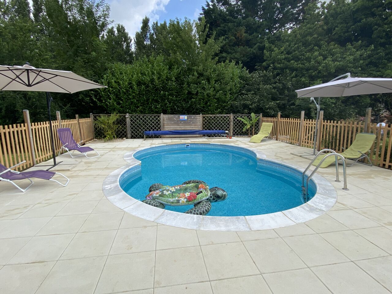 Piscina con una tortuga, rodeada de sillas y sombrillas de descanso.