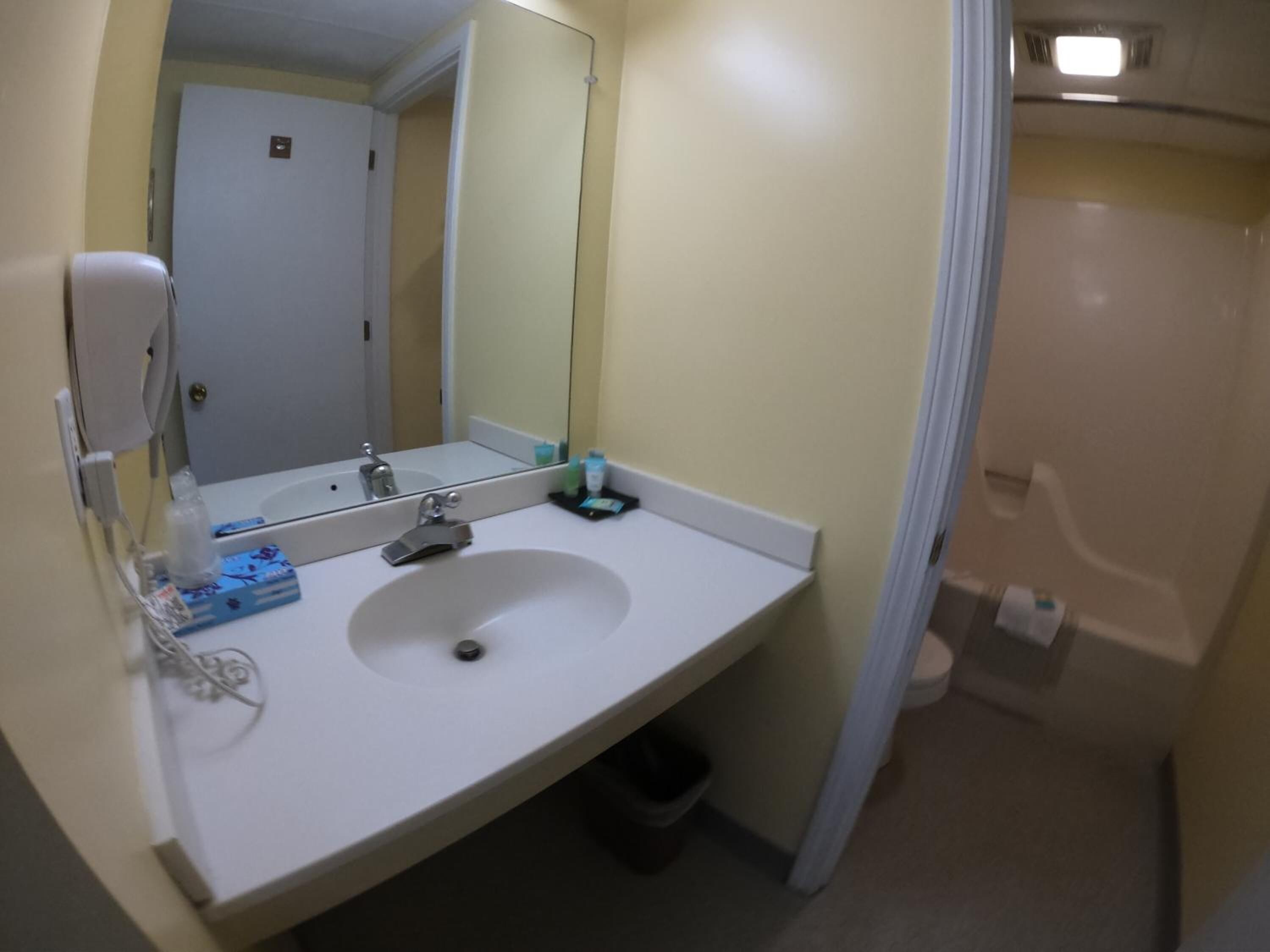 A bathroom with a white sink, a mirror, and a handheld showerhead.