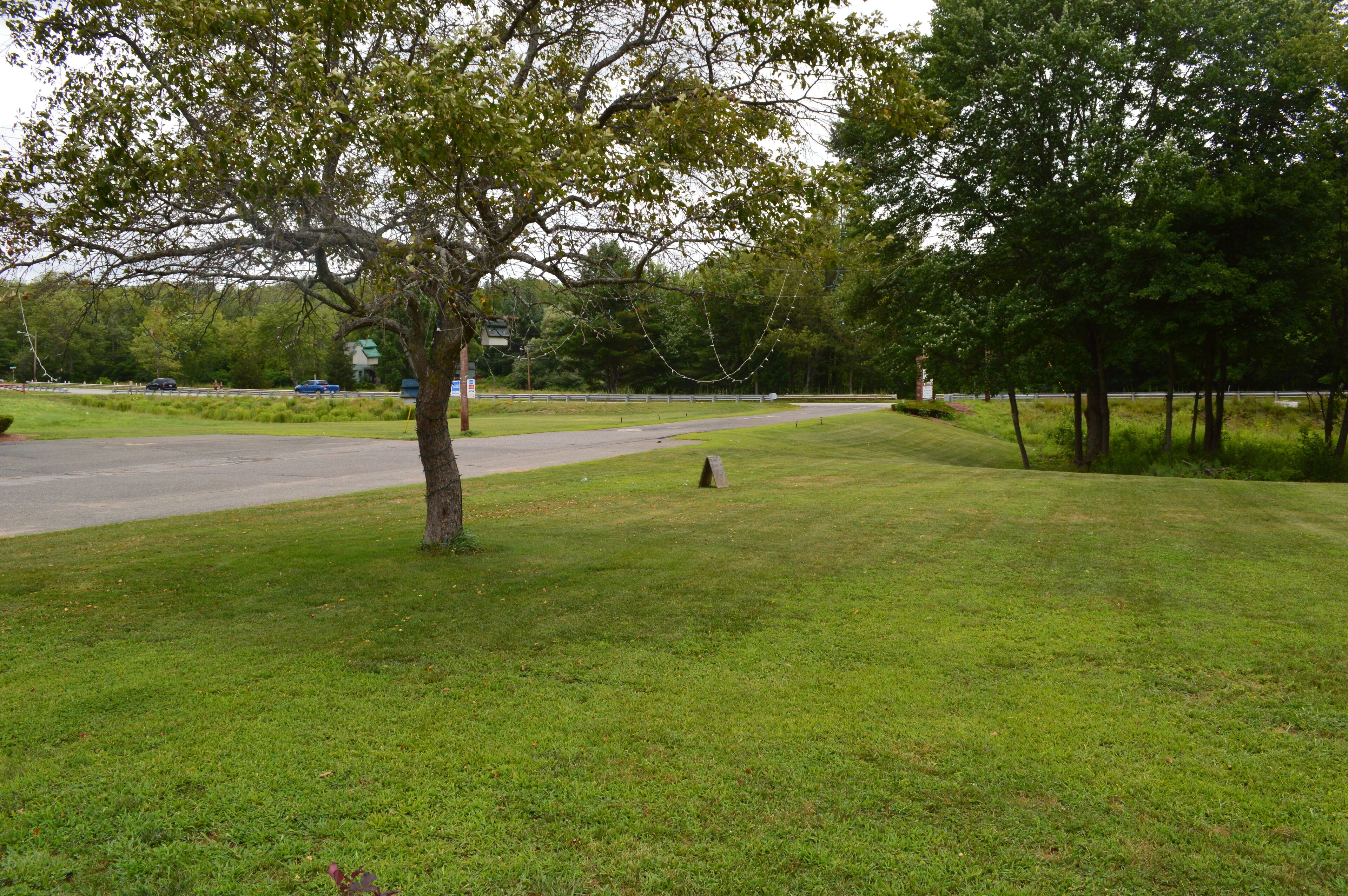 A grassy area with a tree and a road in the background.