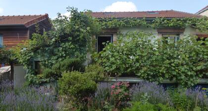 Belle Maison avec jardin dans une impasse calme proche de Paris, Ă Antony