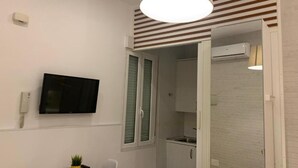 Een knus hotelkamer met televisie, een klein tafeltje met een plant, een badkamer met douche en een kitchenette.