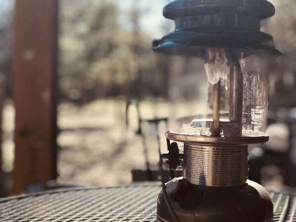 A close-up of a gas stove with a visible flame, a metal grate, and a control knob. - Pretty horse cabin in the woods (Willis)