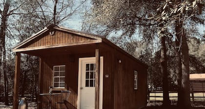 Pretty horse cabin in the woods