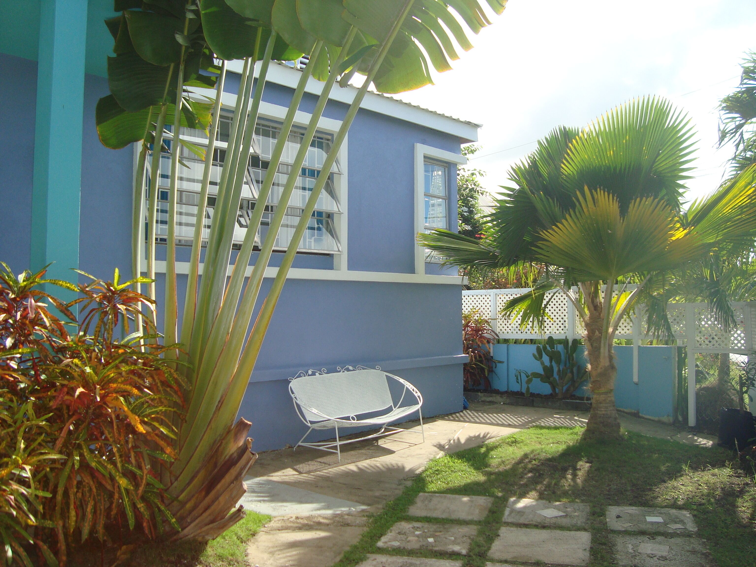A blue house with a white chair in the yard, surrounded by plants and a palm tree.