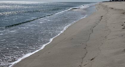 Home with IN-GROUND HEATED POOL best for large families 7 min walk to boardwalk