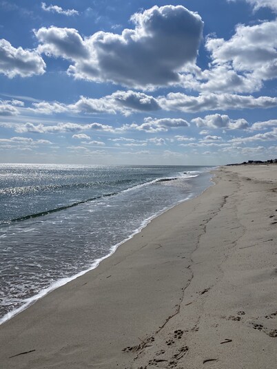 Home with IN-GROUND HEATED POOL best for large families 7 min walk to boardwalk