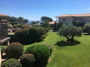 Terrain de l’hébergement 