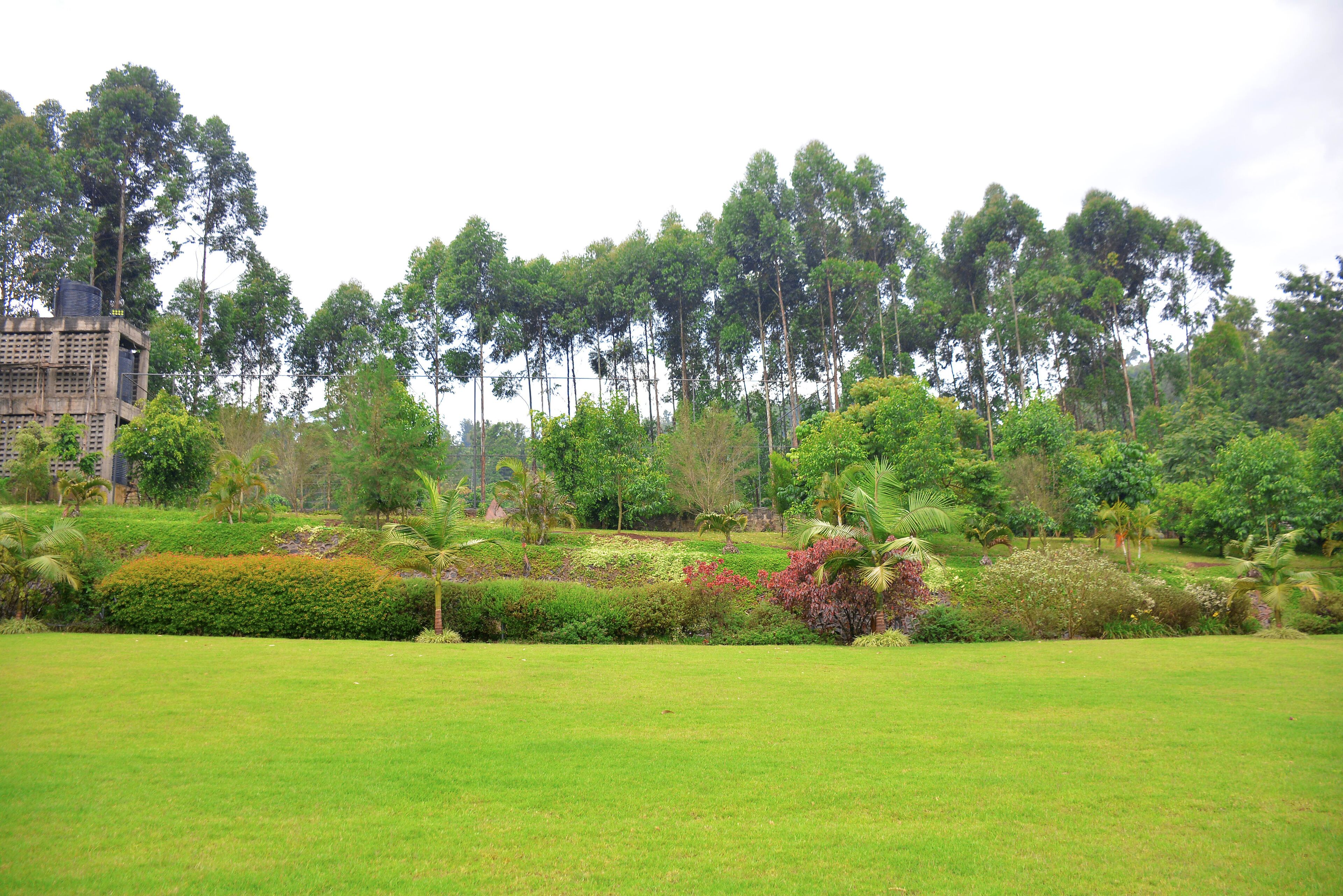 Puutarha