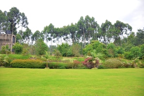 A lush green park with a variety of trees and shrubs, a clear sky, and a distant building. - FK Resort & Spa (Marua)