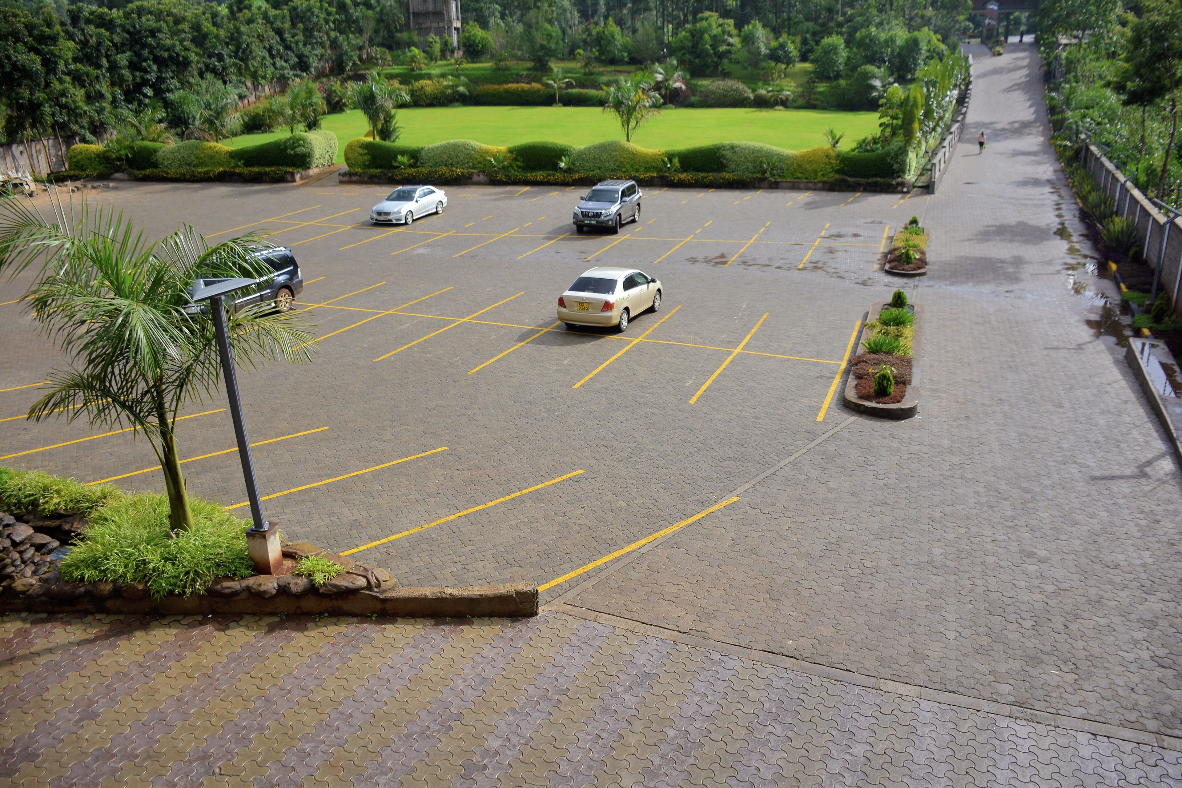 A parking lot with marked spaces, a palm tree, and a landscaped area with greenery.