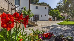 A building with a staircase leading to a door, surrounded by a garden with various flowers.