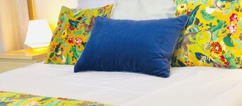 Beautiful duplex, air-conditioned, panoramic lake view, quality fittings, close to town center