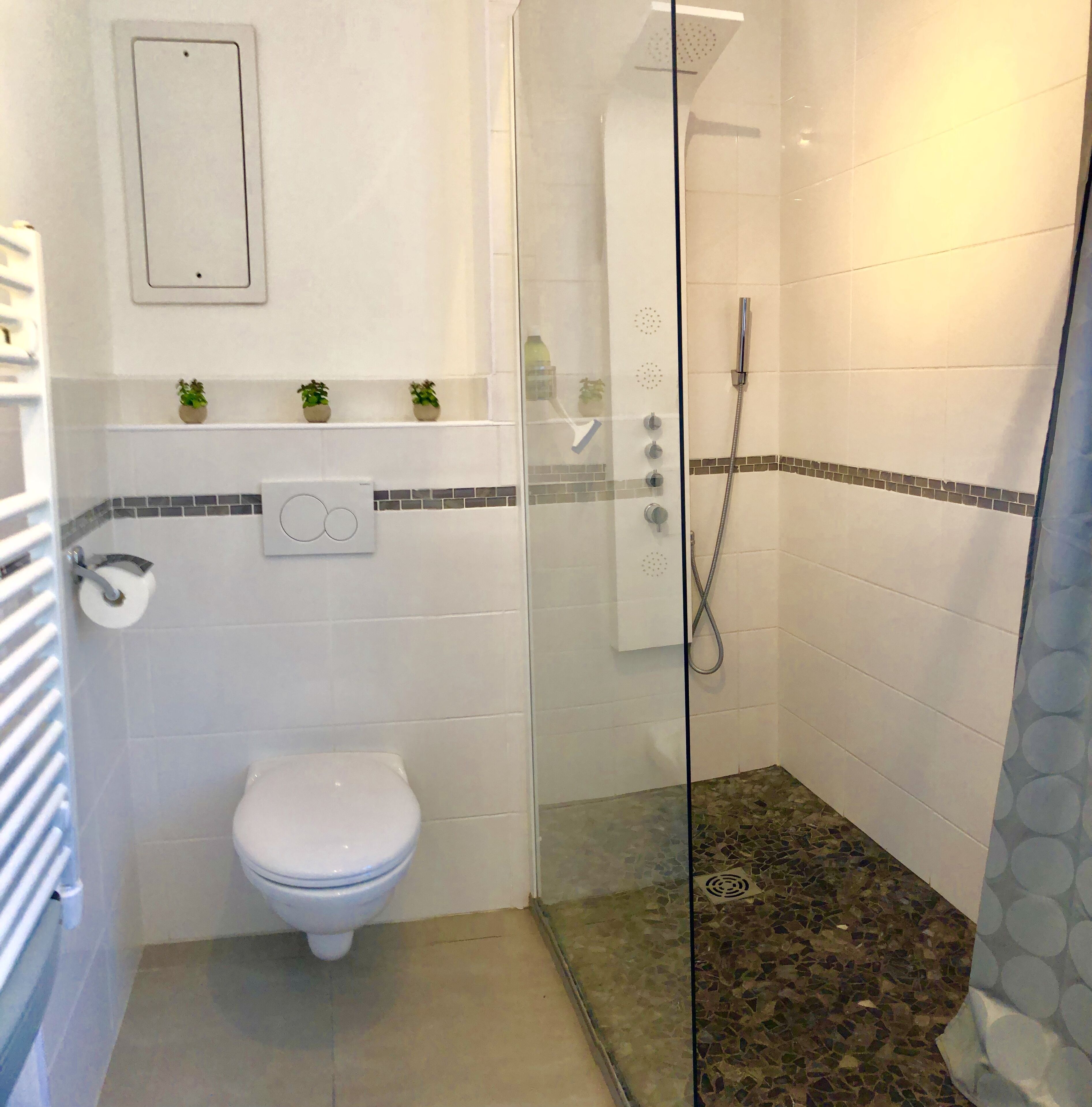 Shower, hair dryer, towels