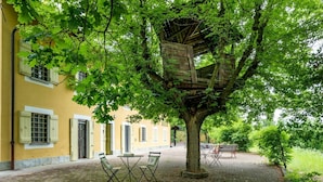 A courtyard with a tree, a wooden pergola, and a table with chairs. - Wonderful private villa for 12 guests with WIFI, private pool, TV, terrace and pets allowed (Valfenera)